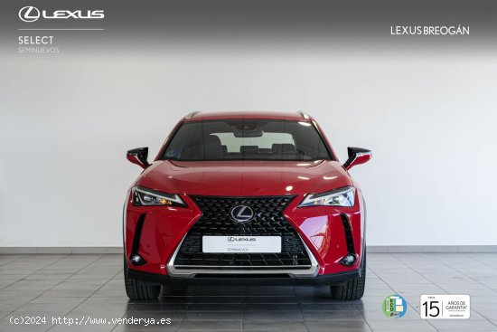 Lexus UX 250H 2WD PREMIUM Lexus UX en Galicia: A Coruña, Santiago, Lugo y Pontevedra. - A Coruña