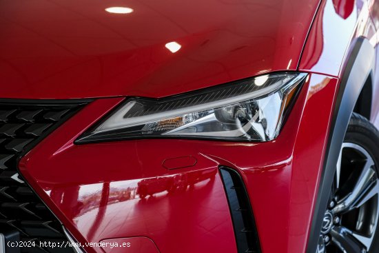 Lexus UX 250H 2WD PREMIUM Lexus UX en Galicia: A Coruña, Santiago, Lugo y Pontevedra. - A Coruña