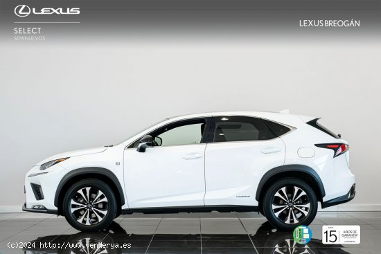 Lexus NX 300H 4WD F - SPORT PANORÁMICO LEXUS NX en Galicia: A Coruña, Santiago, Lugo y Pontevedra.