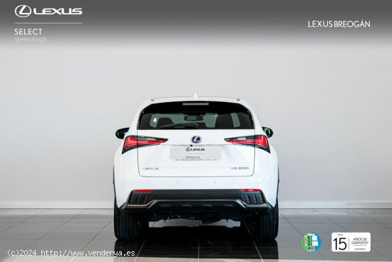 Lexus NX 300H 4WD F - SPORT PANORÁMICO LEXUS NX en Galicia: A Coruña, Santiago, Lugo y Pontevedra.