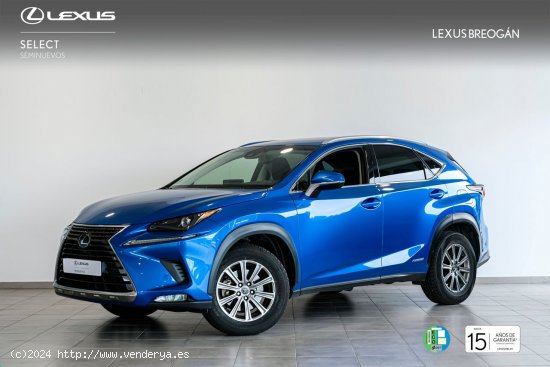  Lexus NX 300H 2WD WG BUSINESS NAVIGATION LEXUS NX en Galicia: A Coruña, Santiago, Lugo y Pontevedra 