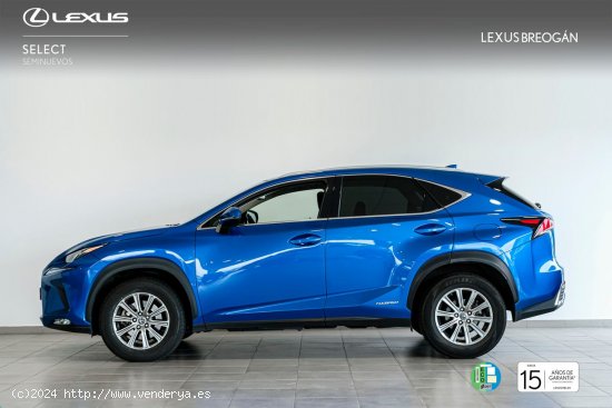 Lexus NX 300H 2WD WG BUSINESS NAVIGATION LEXUS NX en Galicia: A Coruña, Santiago, Lugo y Pontevedra