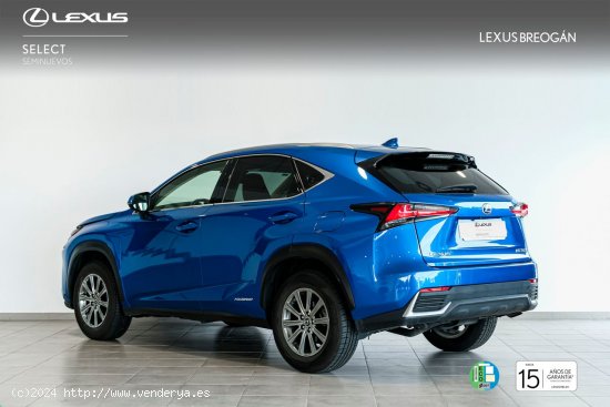 Lexus NX 300H 2WD WG BUSINESS NAVIGATION LEXUS NX en Galicia: A Coruña, Santiago, Lugo y Pontevedra