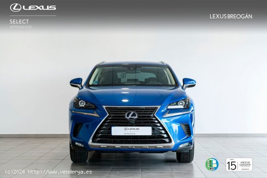 Lexus NX 300H 2WD WG BUSINESS NAVIGATION LEXUS NX en Galicia: A Coruña, Santiago, Lugo y Pontevedra