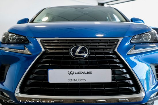 Lexus NX 300H 2WD WG BUSINESS NAVIGATION LEXUS NX en Galicia: A Coruña, Santiago, Lugo y Pontevedra