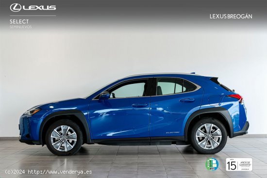 Lexus UX 300e BUSINESS LEXUS UXe en Galicia: A Coruña, Santiago, Lugo y Pontevedra. - A Coruña