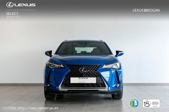 Lexus UX 300e BUSINESS LEXUS UXe en Galicia: A Coruña, Santiago, Lugo y Pontevedra. - A Coruña