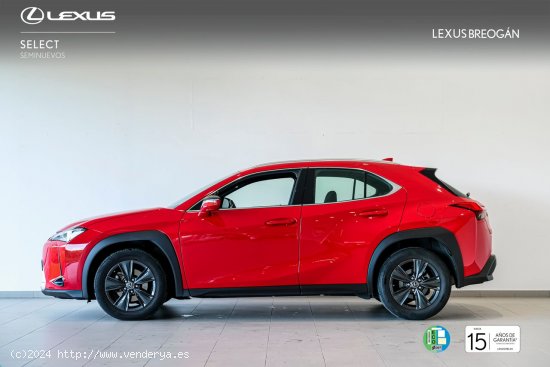 Lexus UX 250H 2WD BUSINESS Lexus UX en Galicia: A Coruña, Lugo y Pontevedra. - A Coruña