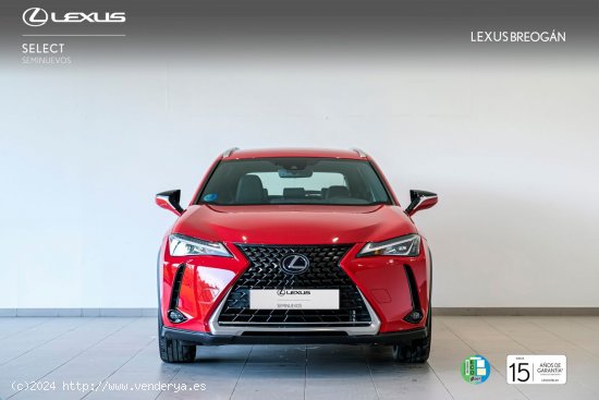 Lexus UX 250H 2WD BUSINESS Lexus UX en Galicia: A Coruña, Lugo y Pontevedra. - A Coruña