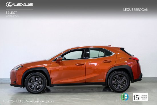 Lexus UX 250H 2WD BUSINESS Lexus UX en Galicia: A Coruña, Lugo y Pontevedra. - A Coruña