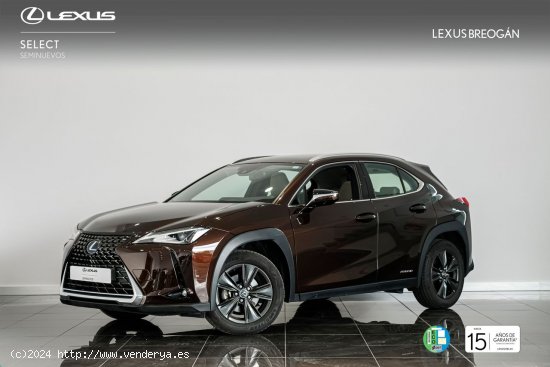  Lexus UX 250H 2WD BUSINESS NAVIGATION Lexus UX en Galicia: A Coruña, Santiago, Lugo y Pontevedra. - 