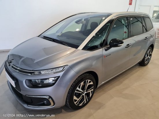 Citroën Grand C4 SpaceTourer BlueHDi 130 RIP CURL - BADAJOZ