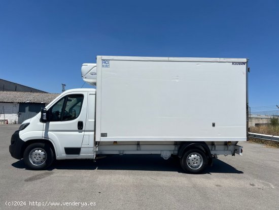 Peugeot Boxer 435 L4 BHDI 103kW 140CV SS camion frigorifico - VILLANUEVA DE CORDOBA