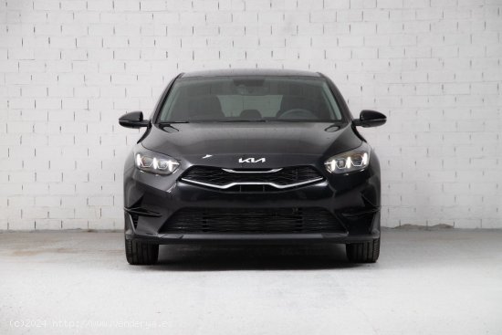 Kia Ceed 1.5 MHEV 103kW (140CV) Tech DCT - Asturias