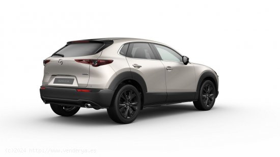 Mazda CX-30 e-SKYACTIV G Homura - Gijón