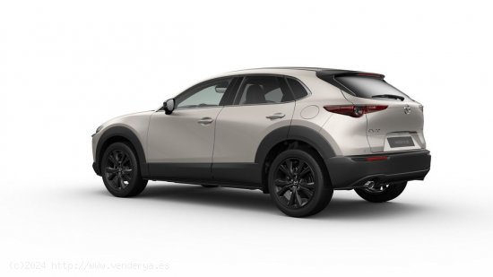 Mazda CX-30 e-SKYACTIV G Homura - Gijón