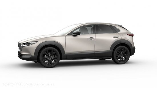 Mazda CX-30 e-SKYACTIV G Homura - Gijón