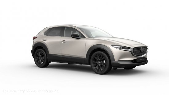 Mazda CX-30 e-SKYACTIV G Homura - Gijón