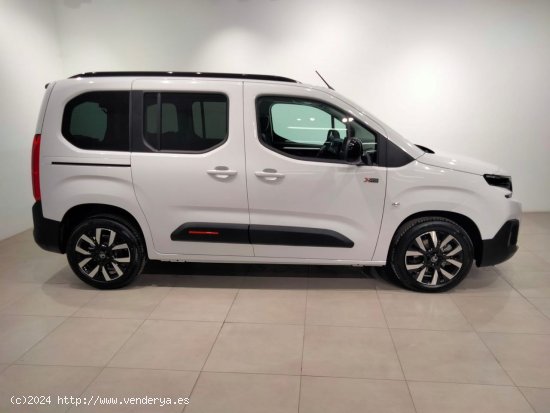 Citroën Berlingo Talla M BlueHDi 130 S&S MAX - Álava