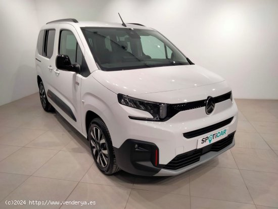 Citroën Berlingo Talla M BlueHDi 130 S&S MAX - Álava