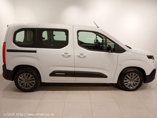 Citroën Berlingo Talla M BlueHDi 100 S&S PLUS - Álava