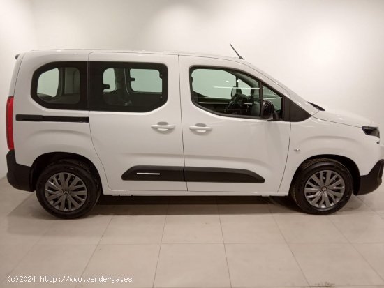 Citroën Berlingo Talla M BlueHDi 100 S&S PLUS - Álava