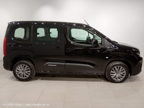 Citroën Berlingo Talla M BlueHDi 100 S&S PLUS - Álava