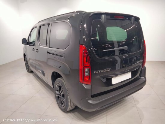 Citroën Berlingo Talla XL BlueHDi 130 S&S MAX - Álava