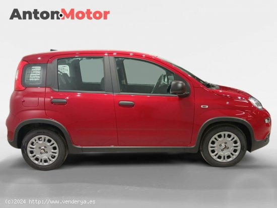 Fiat Panda Classic - VITORIA