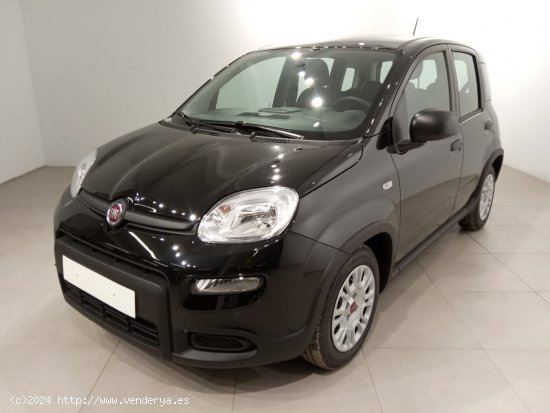  Fiat Panda Panda Hybrid 1.0 51kw (70CV) - Álava 