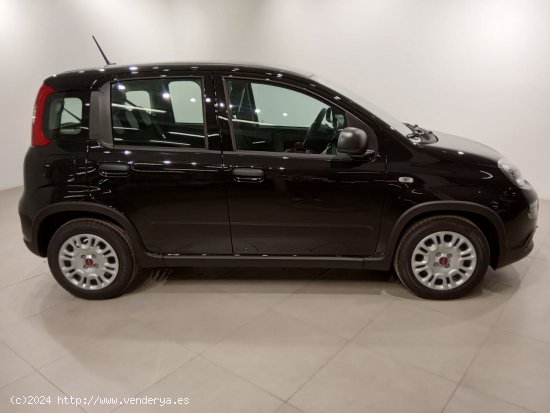 Fiat Panda Panda Hybrid 1.0 51kw (70CV) - Álava