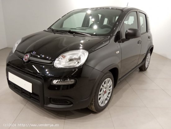  Fiat Panda Panda Hybrid 1.0 51kw (70CV) - Álava 