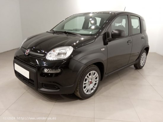  Fiat Panda Panda Hybrid 1.0 51kw (70CV) - Álava 