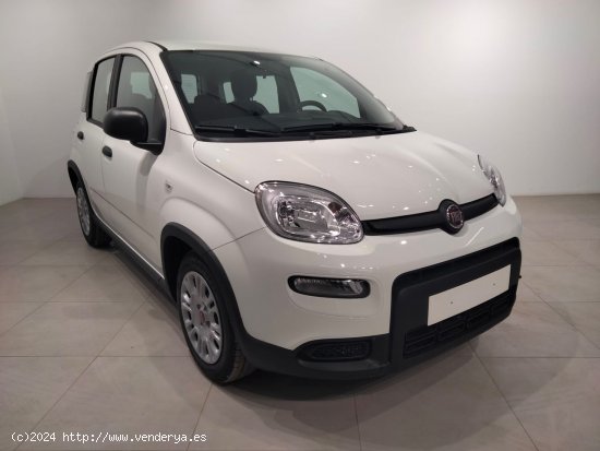 Fiat Panda Panda Hybrid 1.0 51kw (70CV) - Álava