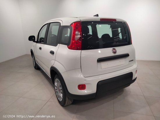 Fiat Panda Panda Hybrid 1.0 51kw (70CV) - Álava