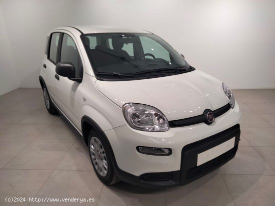 Fiat Panda Panda Hybrid 1.0 51kw (70CV) - Álava