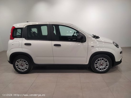 Fiat Panda Panda Hybrid 1.0 51kw (70CV) - Álava