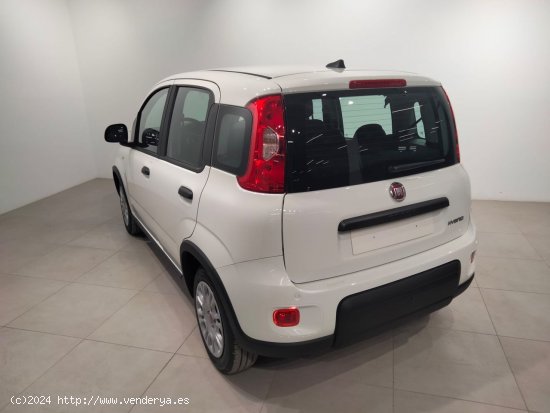 Fiat Panda Panda Hybrid 1.0 51kw (70CV) - Álava