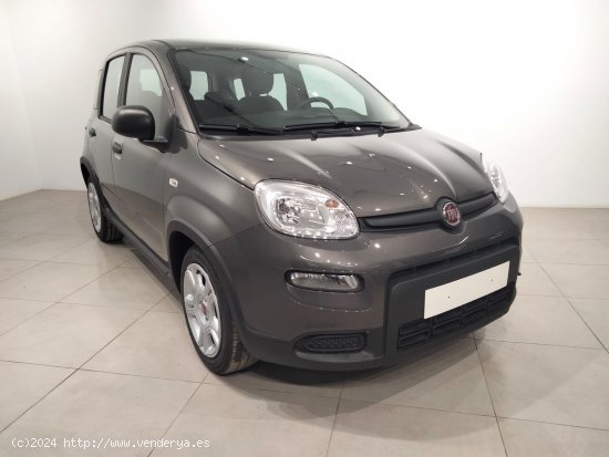 Fiat Panda Panda Hybrid 1.0 51kw (70CV) - Álava