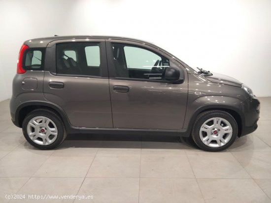 Fiat Panda Panda Hybrid 1.0 51kw (70CV) - Álava