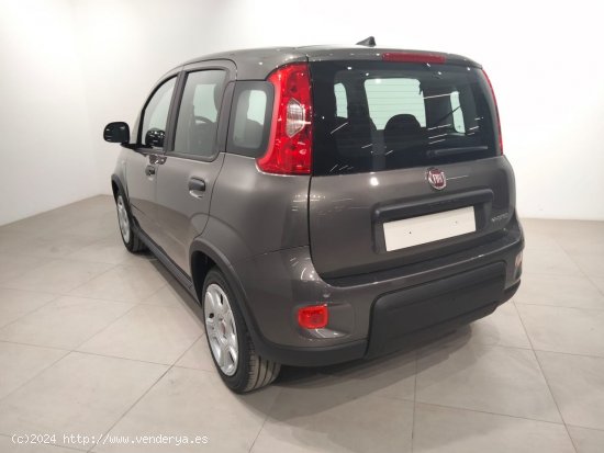 Fiat Panda Panda Hybrid 1.0 51kw (70CV) - Álava