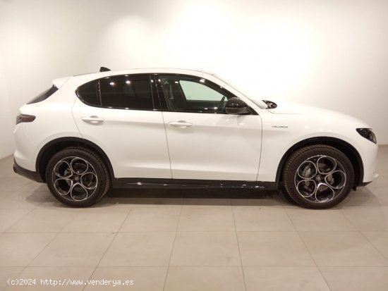 Alfa Romeo Stelvio 2.2 Diésel 154kW (210CV) Veloce Q4 - Álava