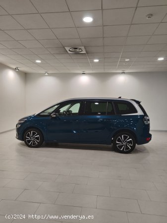 Citroën C4 Spacetourer PureTech 96KW (130CV) S&S EAT8 Feel - Lleida