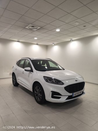  Ford Kuga ST-Line 1.5T EcoBoost 110kW (150CV) - Lleida 