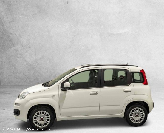 Fiat Panda Easy 1.2 51kW (69CV) - Huesca