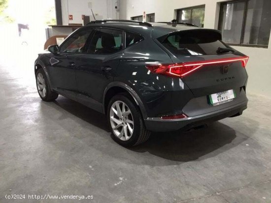 Cupra Formentor 1.5 TSI 150cv DSG - Albacete