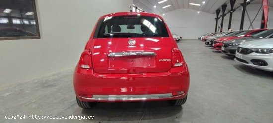 Fiat 500 1.0 Hybrid 70cv Red - Albacete