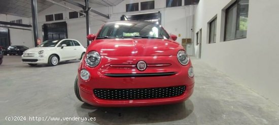 Fiat 500 1.0 Hybrid 70cv Red - Albacete