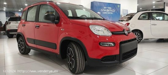 Fiat Panda 1.0 Gse 70cv Hybrid City Life - Albacete