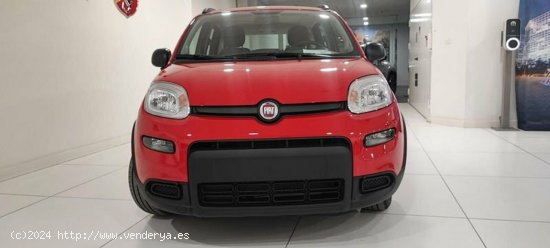 Fiat Panda 1.0 Gse 70cv Hybrid City Life - Albacete